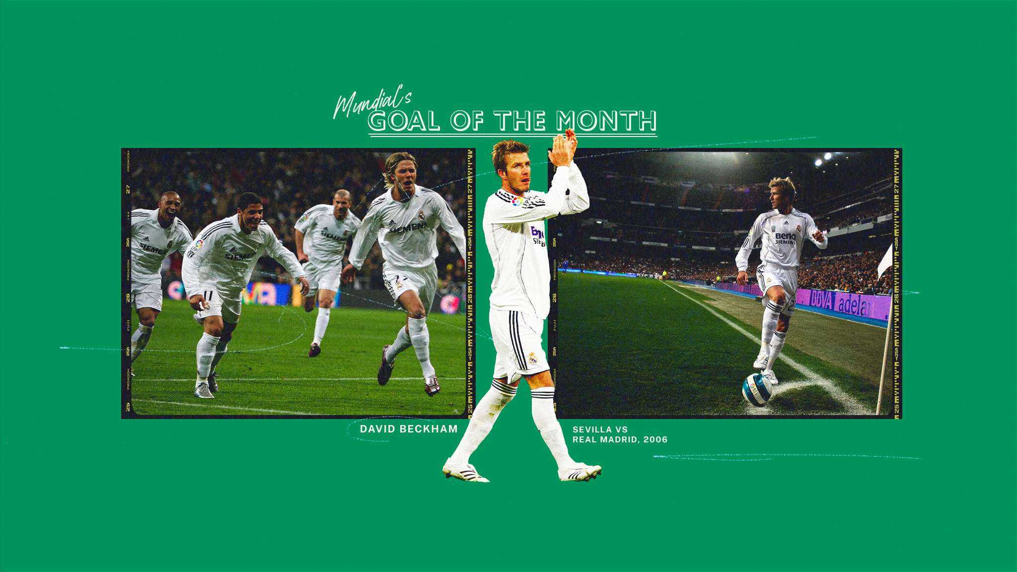 他们更是以 他们更是以