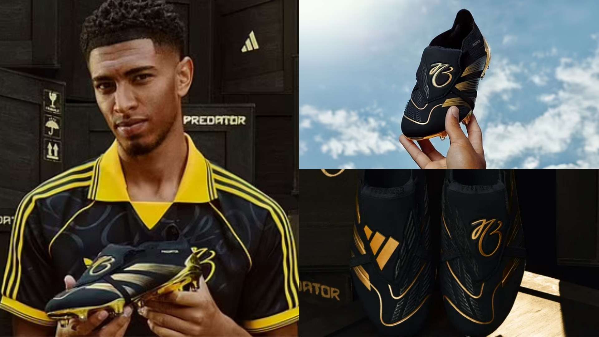 足项目的发 足项目的发